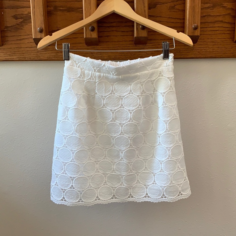 Anthro/Daniel Rainn Samia Embroidered Mini Skirt